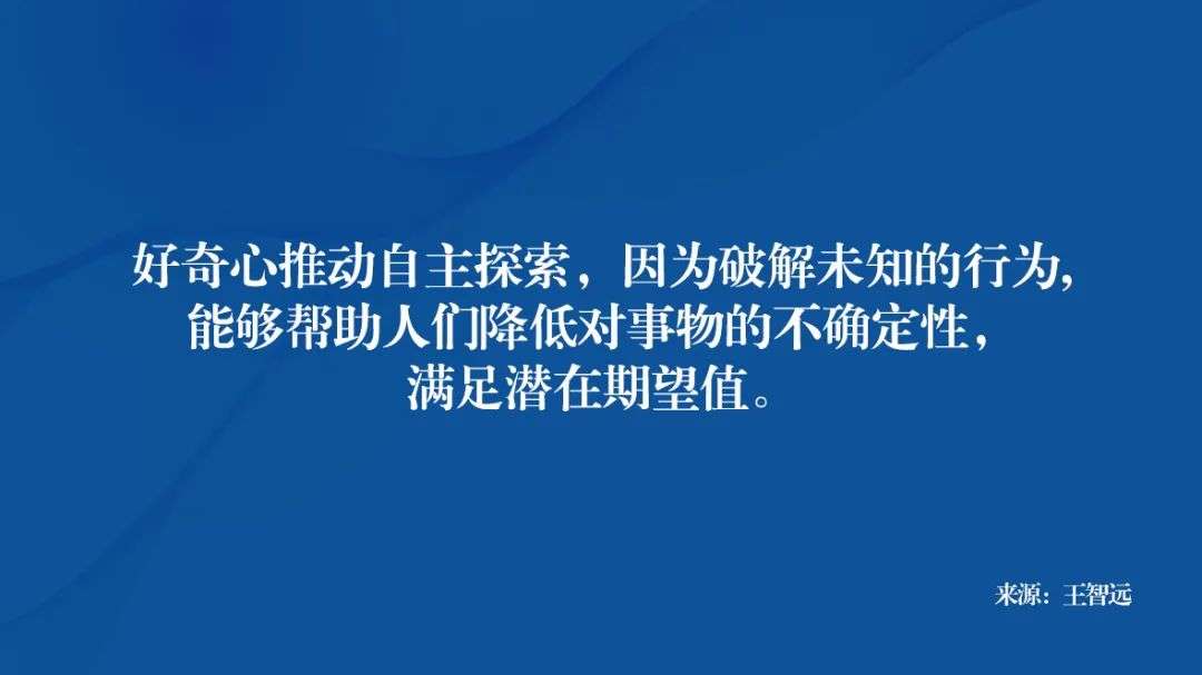 专家团｜王智远：「羊了个羊」用户心理学