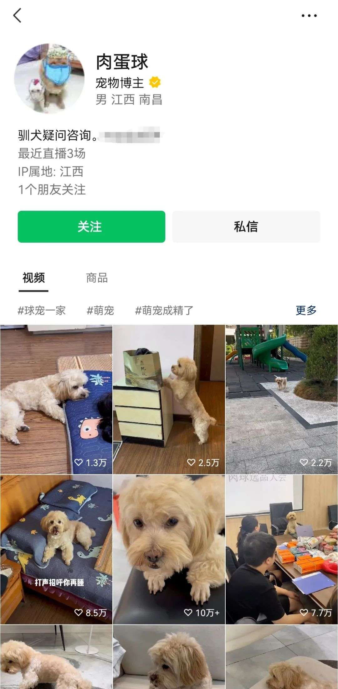10W+爆款頻出！寵物劇情號大受歡迎，變現潛力巨大