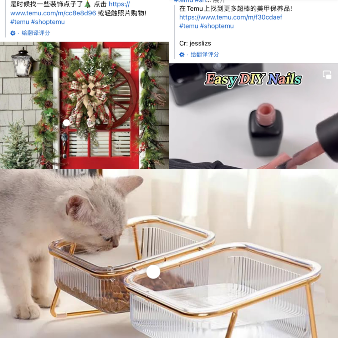 極具“侵略性”的Temu，如何再造一個拼多多？