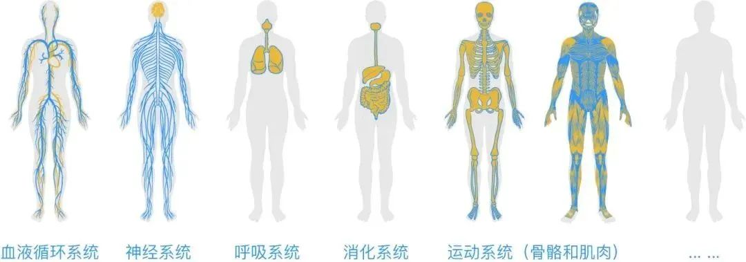 什么是组织能力？什么是战略性组织能力？