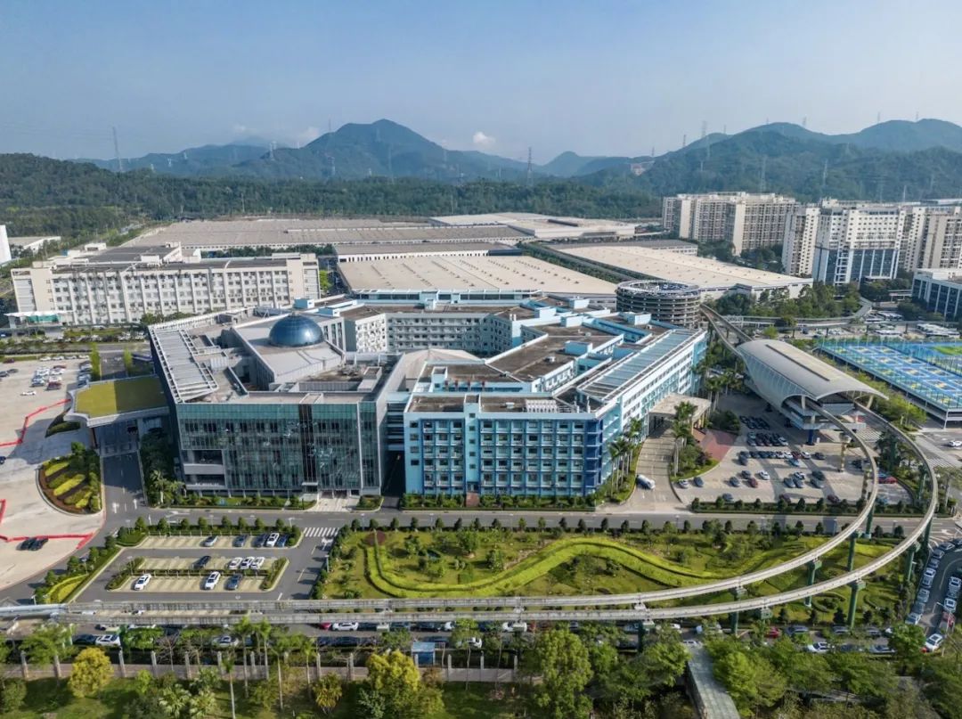 滬深雙雄：不止特斯拉和比亞迪