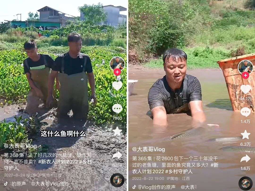 從三季度增粉最快的1000個抖音賬號，我們找到了這些趨勢