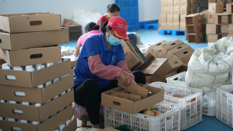 中國農業“李約瑟難題”，如何破解？