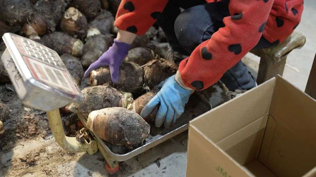 “辦年貨”的儀式感，沒人能抗拒