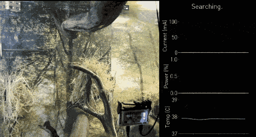 马斯克的猴子正在推动一场脑机革命，代价只是“香蕉奶昔”