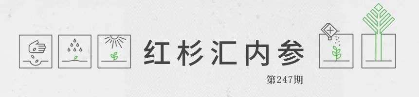 如何用有限的预算撬动IT创新？ | 红杉汇内参