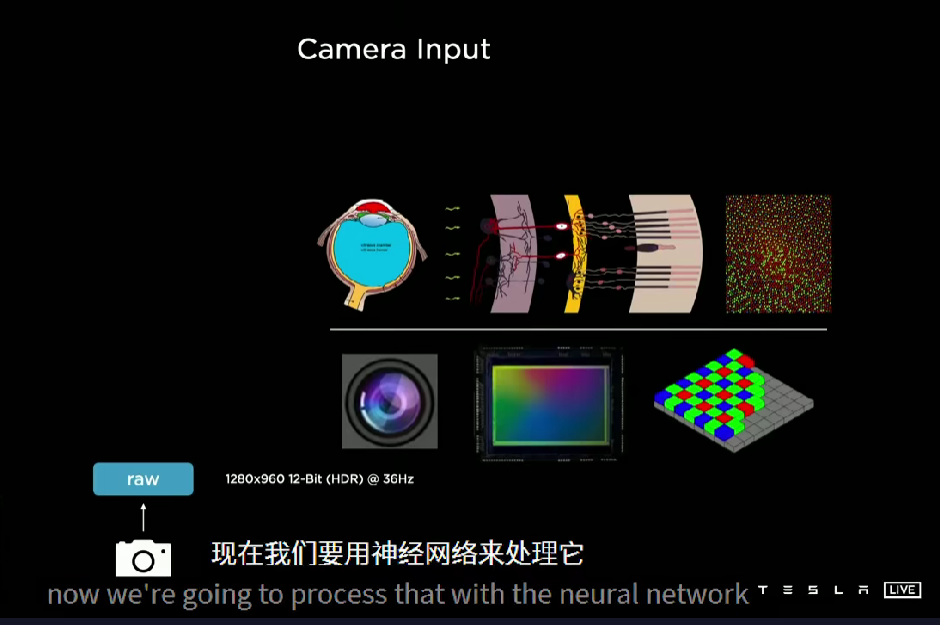 弃坑超声雷达！特斯拉官宣100%纯视觉自动驾驶，看路全靠8颗摄像头