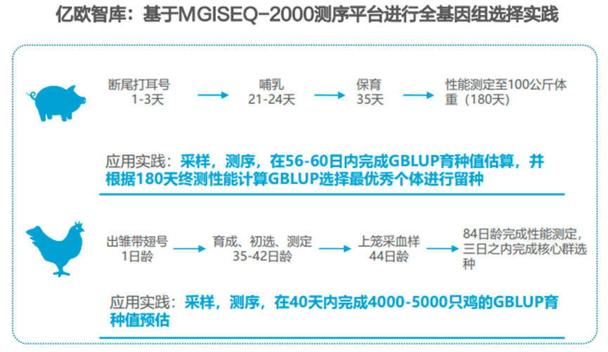我們為什么看好中國分子育種？“最后一公里”并非遙不可及