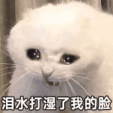 0門檻也能在小紅書漲粉12萬？最新「流量密碼」竟是ta