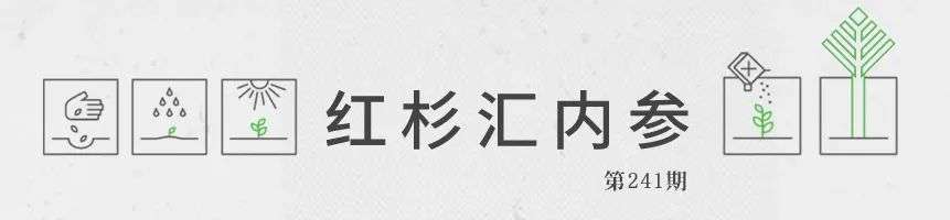 如何當一個“教練式”的領導？