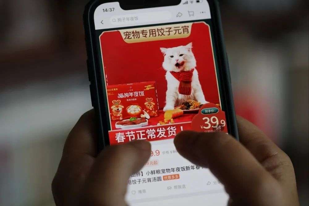 千億賽道新風(fēng)向：毛孩子要享科技的福，鏟屎官激情買單？！