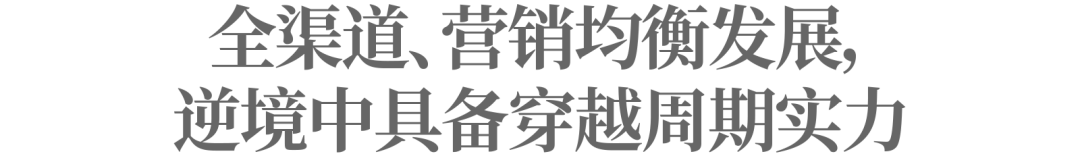 营收净利稳增长，良品铺子如何成为抵御“寒冬论”的样本？