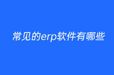 常见的<dptag>erp</dptag><dptag>软</dptag><dptag>件</dptag>有哪些