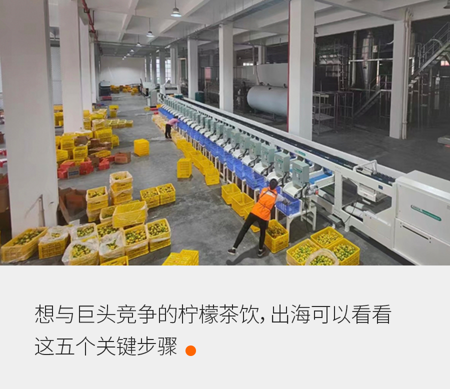 與喜茶蜜雪一起出海，特色茶飲品牌如何另辟蹊徑 | 雙增對話
