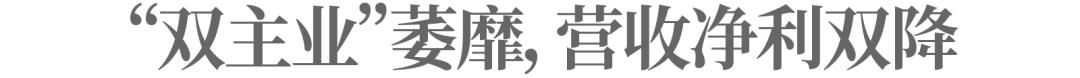 對外擔保460多億，營收下滑近七成，中南建設如何“過冬”