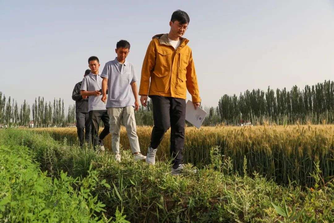 從大廠到農場，90后碩士們開始回鄉村種地