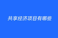 共享經(jīng)濟<dptag>項</dptag><dptag>目</dptag>有哪些
