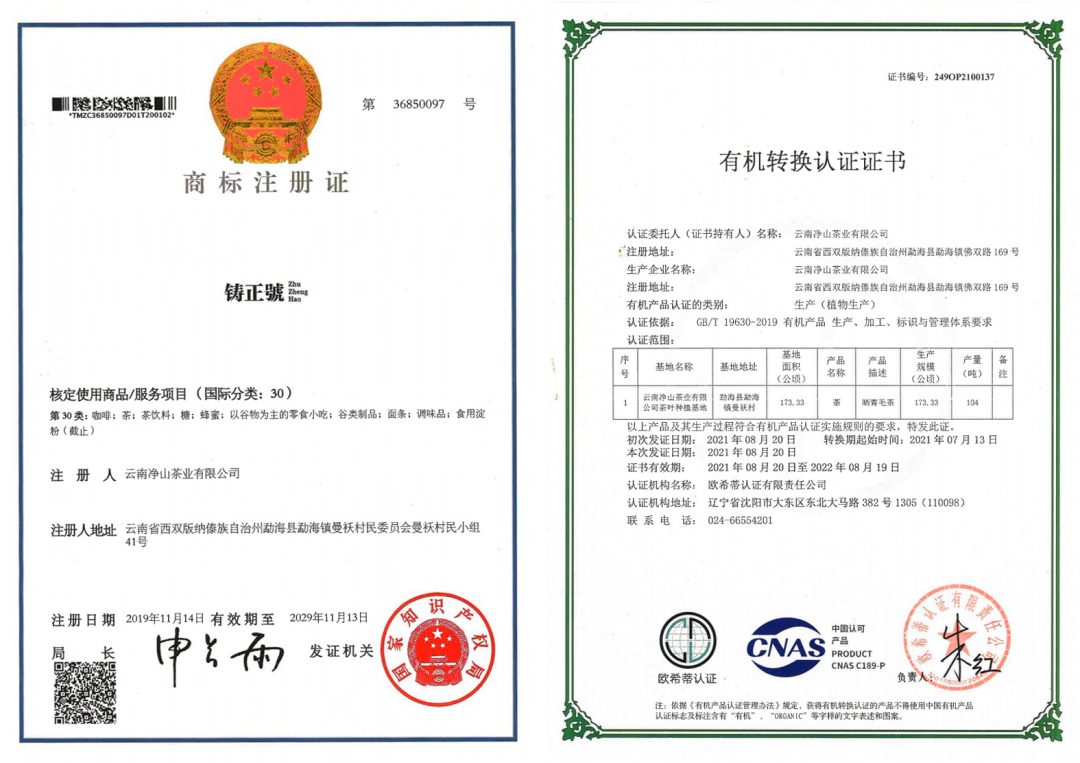 我在視頻號賣茶葉，2個月后每天穩定賣6萬元