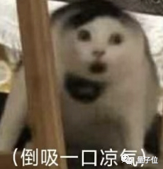 谷歌內容審查出烏龍：私人相冊照片被谷歌AI舉報