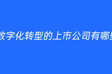 数字化转型的<dptag>上</dptag><dptag>市</dptag><dptag>公</dptag><dptag>司</dptag>有哪些