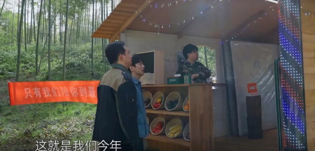 《浪4》《塢3》領銜，上半年招商“火力全開”