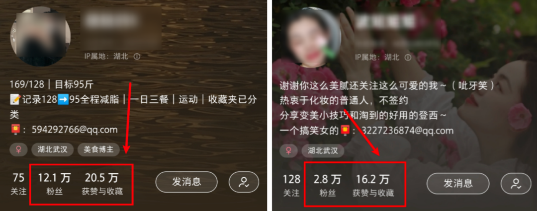 0門檻也能在小紅書漲粉12萬？最新「流量密碼」竟是ta