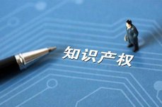 知識產權服務中心主要是做什么的？