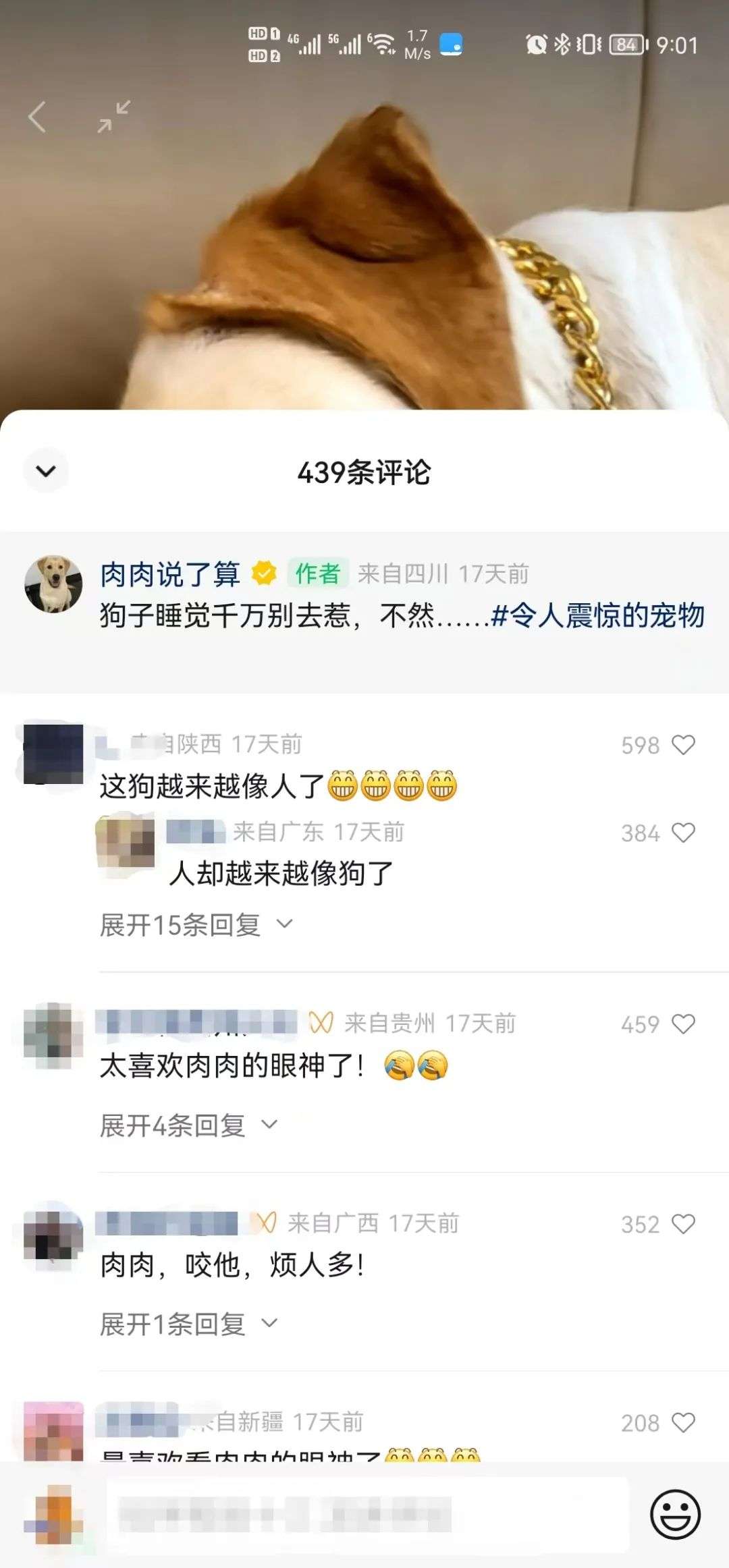 10W+爆款頻出！寵物劇情號大受歡迎，變現潛力巨大