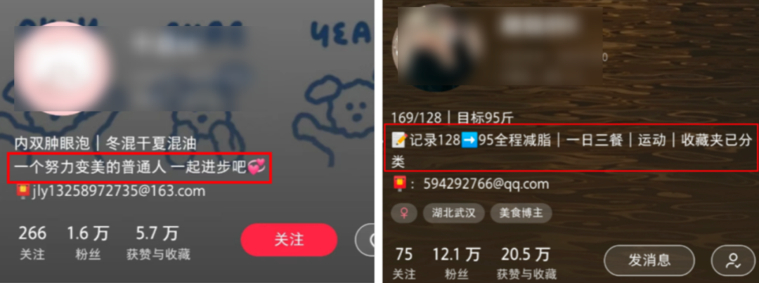 0門檻也能在小紅書漲粉12萬？最新「流量密碼」竟是ta