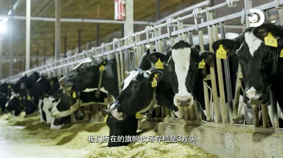 被卡脖子的不只科技行業，疏堵成為中國企業的共同課題