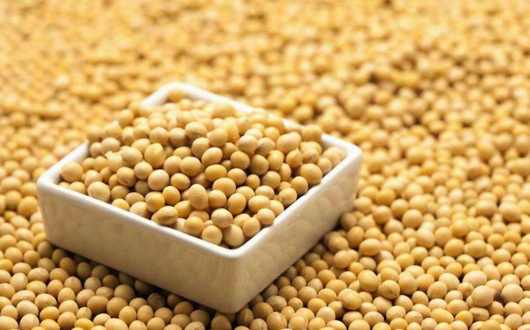 調味品“隱形巨頭”梅花生物的飼料生意