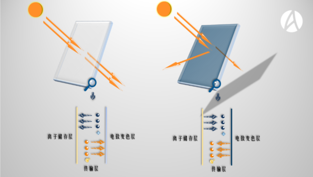 有多少電動車主在車里戴草帽？