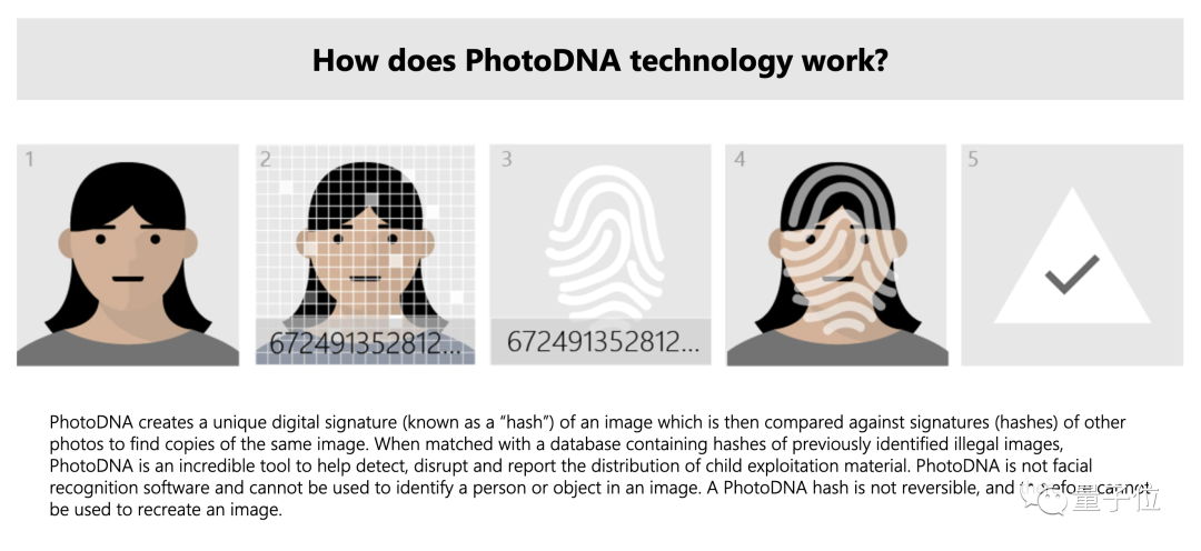 谷歌内容审查出乌龙：私人相册照片被谷歌AI举报