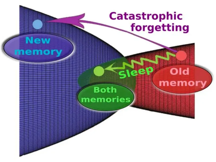 如何让 AI 像人类一样存有大量记忆？