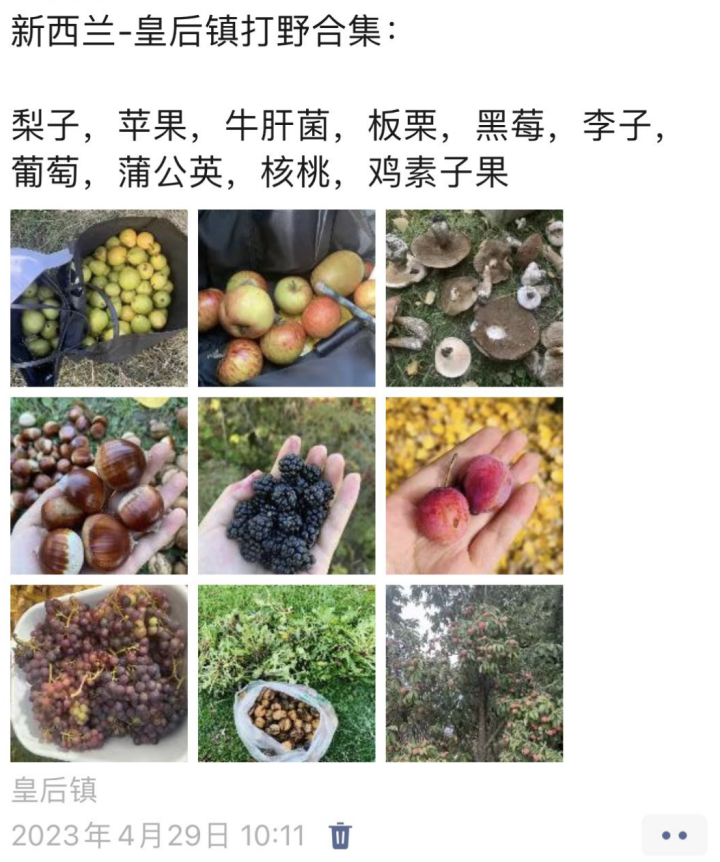 出國打工度假，月入三萬？快逃
