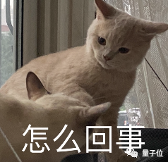 谷歌內容審查出烏龍：私人相冊照片被谷歌AI舉報