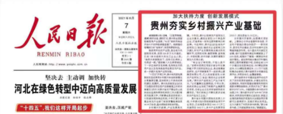 村BA：百億流量背后的產品營銷啟示錄