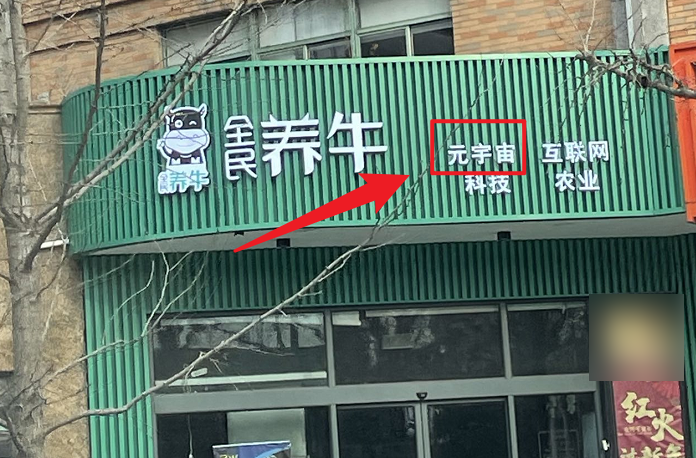 “我沒搞懂元宇宙，但一天能賺9w塊”
