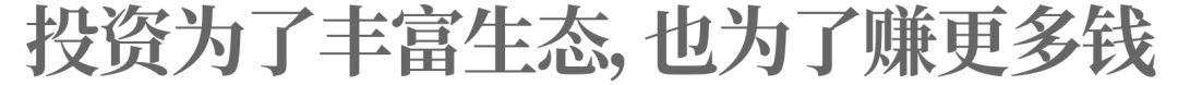 加速投資的小紅書，“病急亂投醫”？
