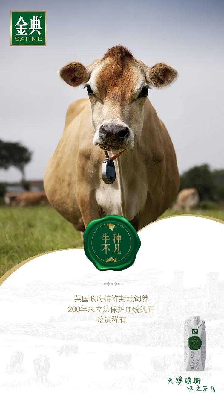 品牌升級：品牌如何賣更貴、賣更多？