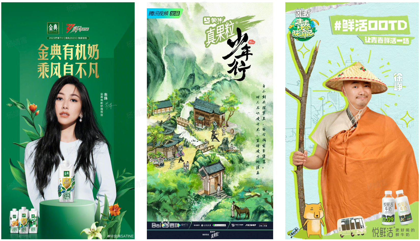 綜藝持續拉胯，為什么乳企還是癡情不改？