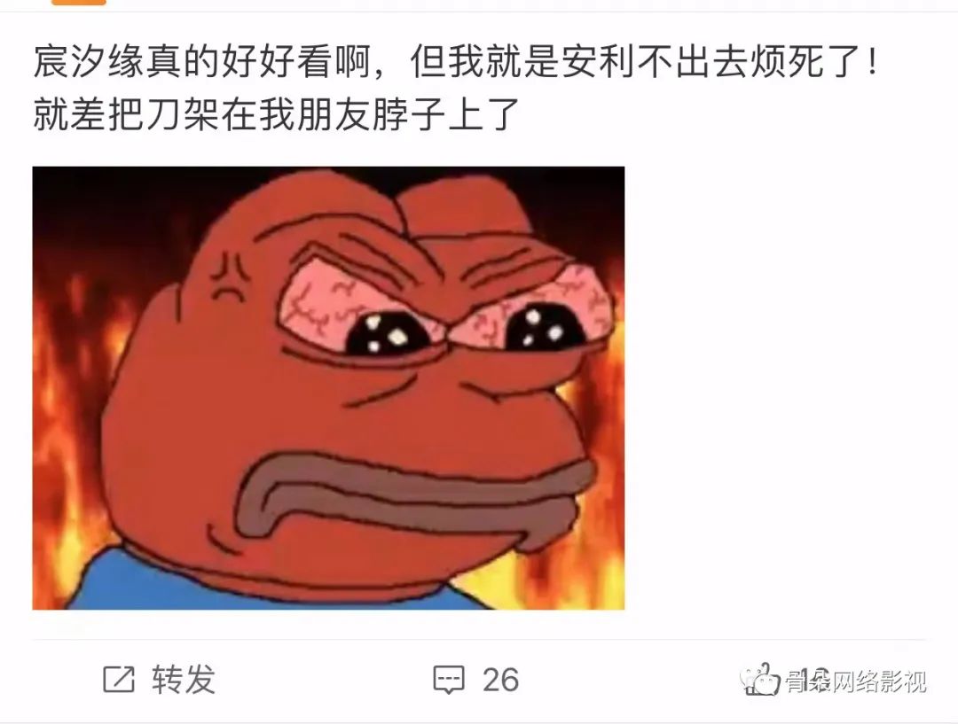 劇集安利失敗，誰來買單？