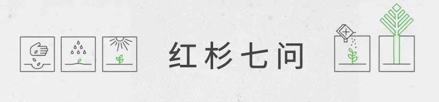 “专注于那些有限的、真正重要的事情”