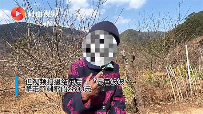抖音多個月入百萬的“可憐人”被封殺,到底怎么回事?