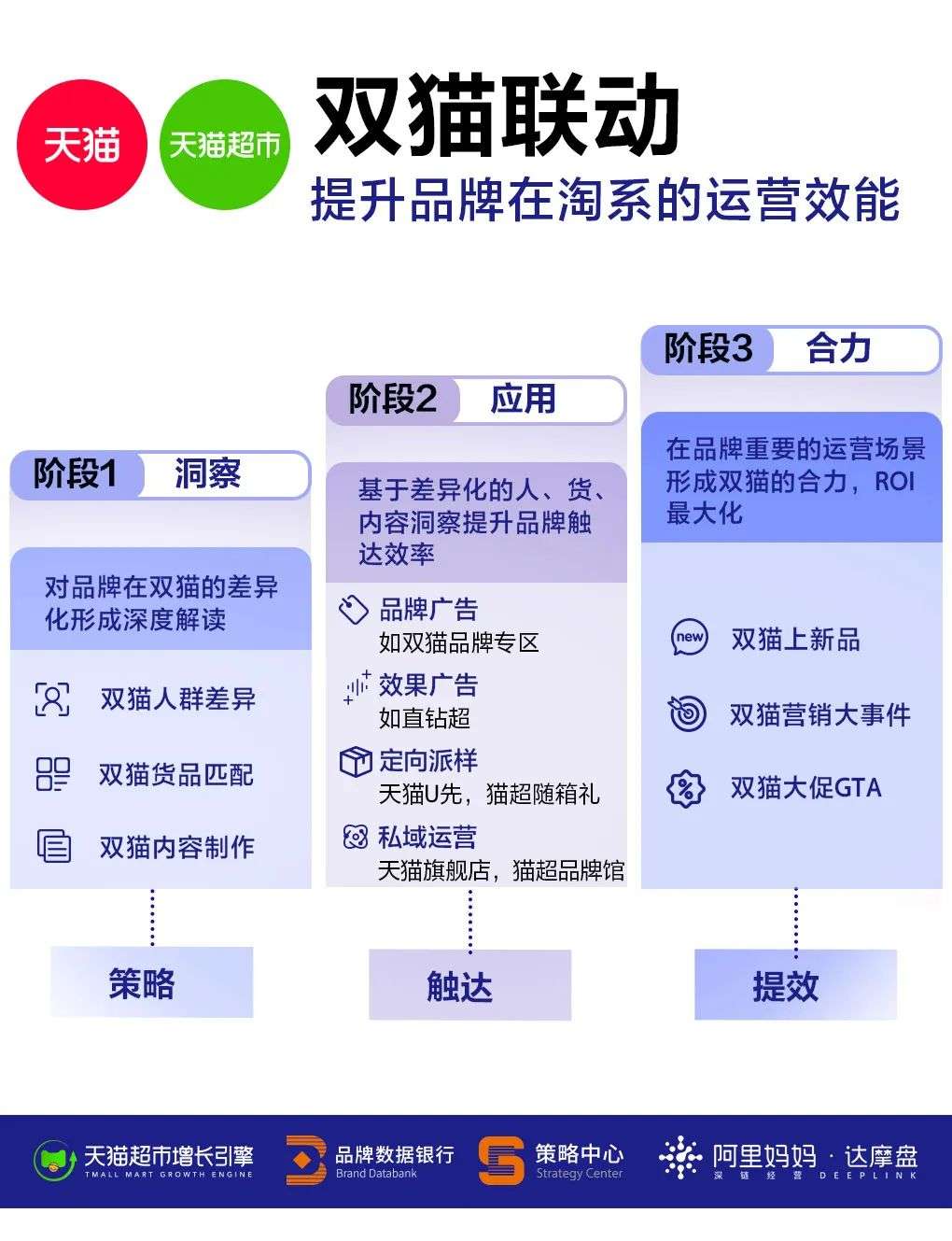 “雙貓聯動”：品牌下一個增長紅利