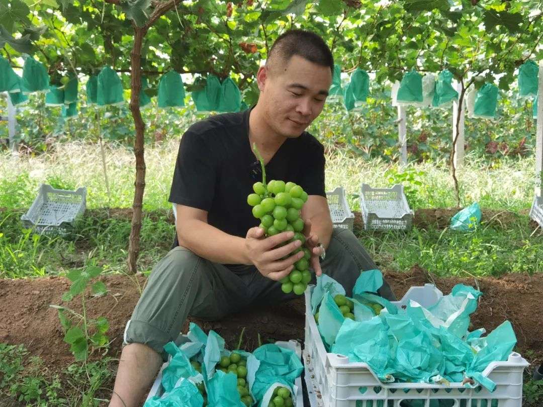 上海摄影师回农村卖水果，上淘特年销1500万元