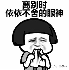 谷歌內容審查出烏龍：私人相冊照片被谷歌AI舉報