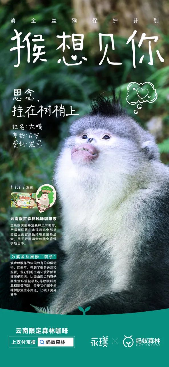品牌升級：品牌如何賣更貴、賣更多？