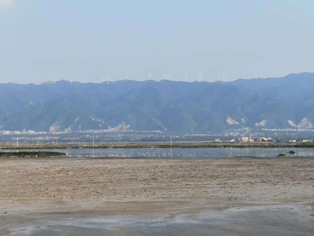 上海攝影師回農村賣水果，上淘特年銷1500萬元