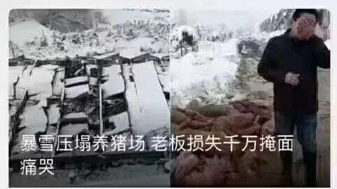 暴雪網易世紀分手，中國玩家不知歸處